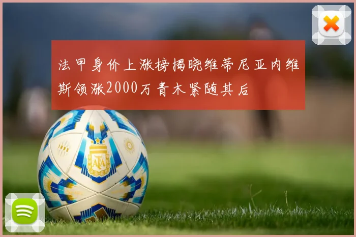 法甲身价上涨榜揭晓维蒂尼亚内维斯领涨2000万青木紧随其后