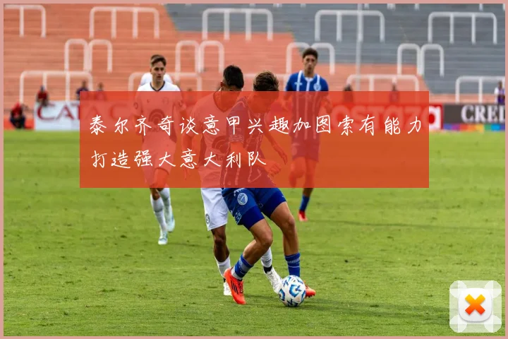 泰尔齐奇谈意甲兴趣加图索有能力打造强大意大利队