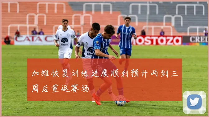 加维恢复训练进展顺利预计两到三周后重返赛场