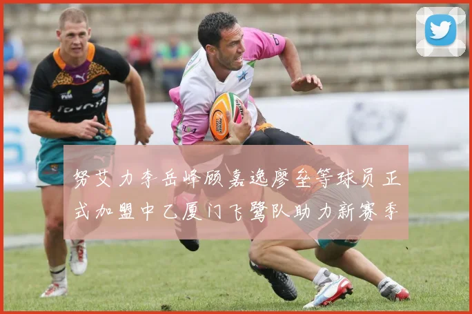 努艾力李岳峰顾嘉逸廖垒等球员正式加盟中乙厦门飞鹭队助力新赛季